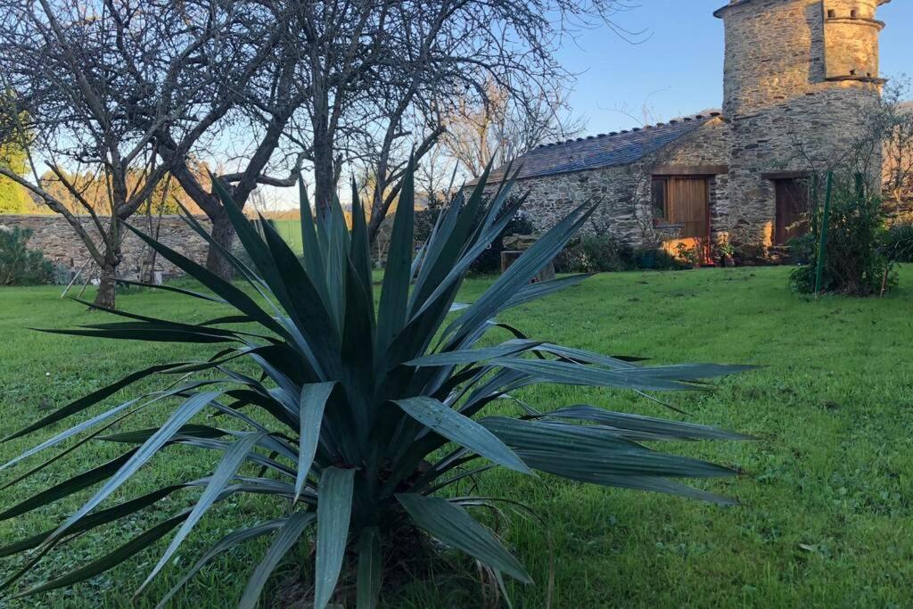 Apartamento Turistico Con Precioso Jardin - Los Gayoles Rural Castropol Dış mekan fotoğraf
